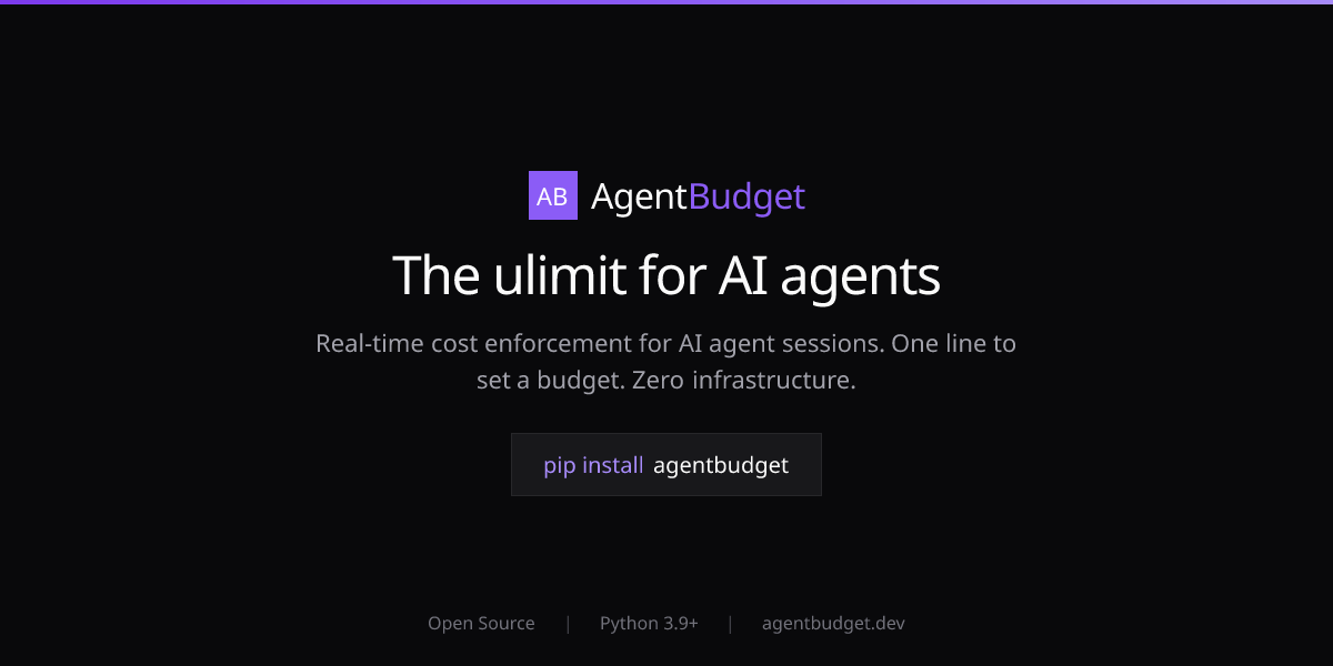AgentBudget media 2
