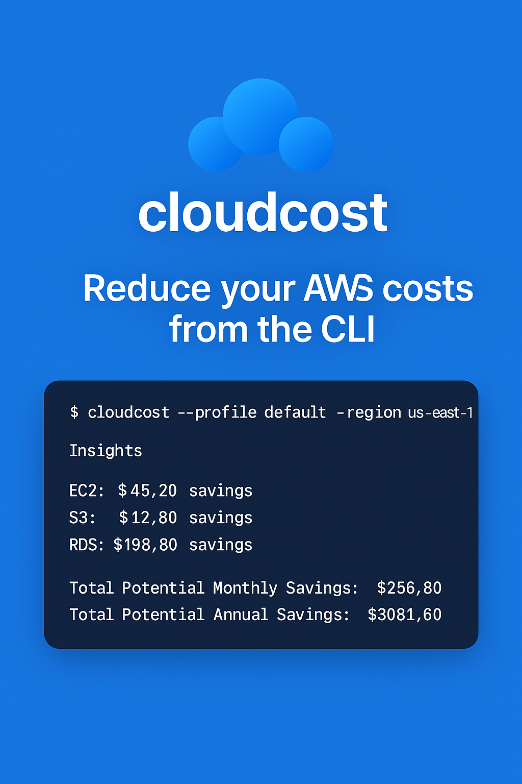 CloudCost: AWS Cost Optimizer gallery image