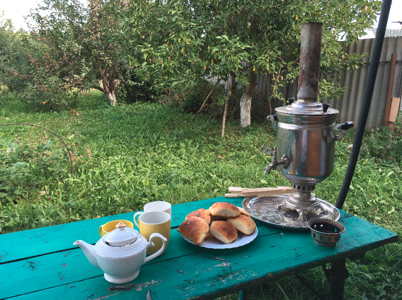 I grow cabbage gallery image