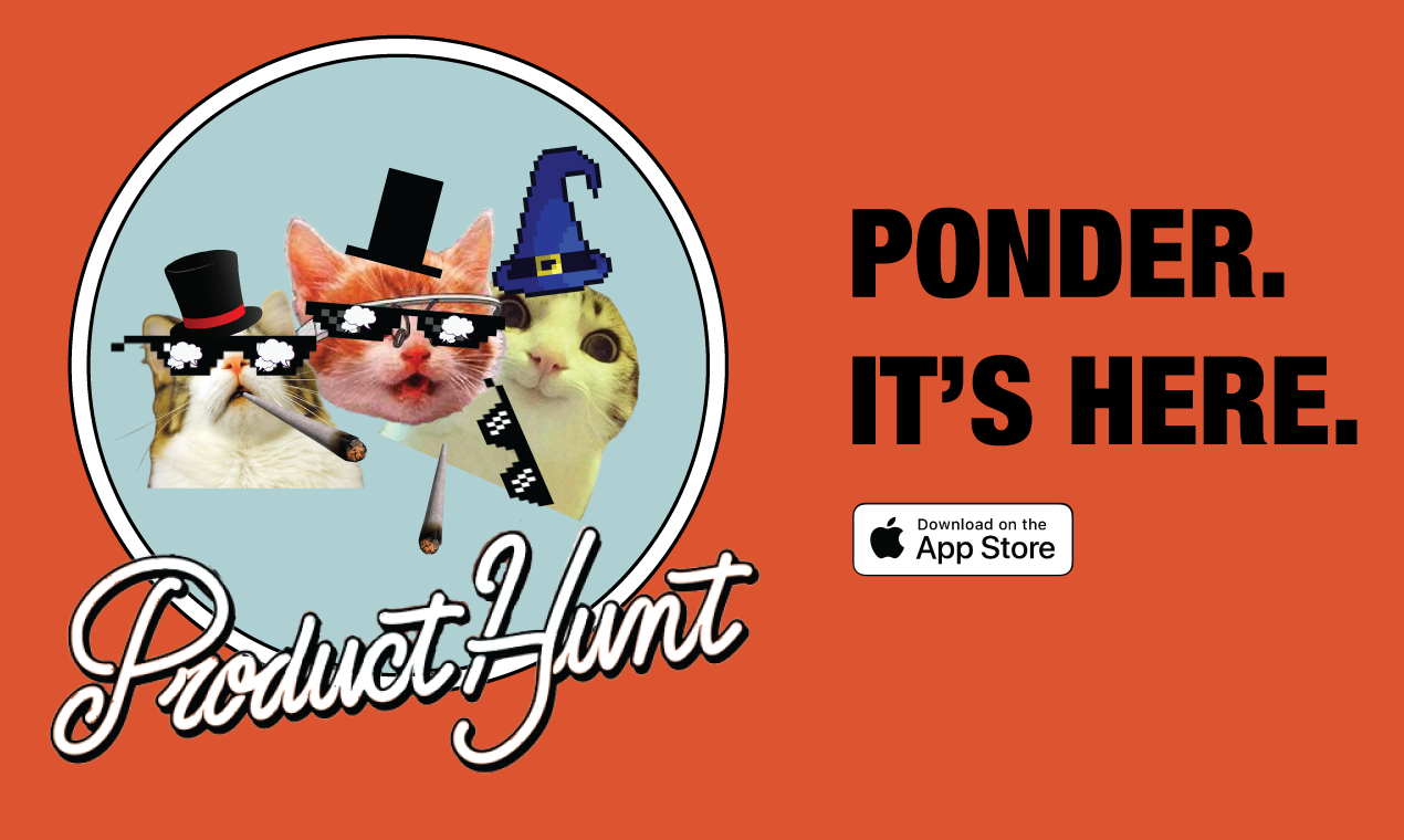 Ponder gallery image