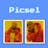 Picsel