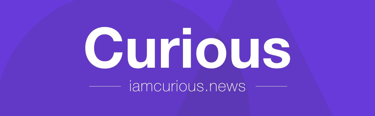 Curious Newsletter media 1