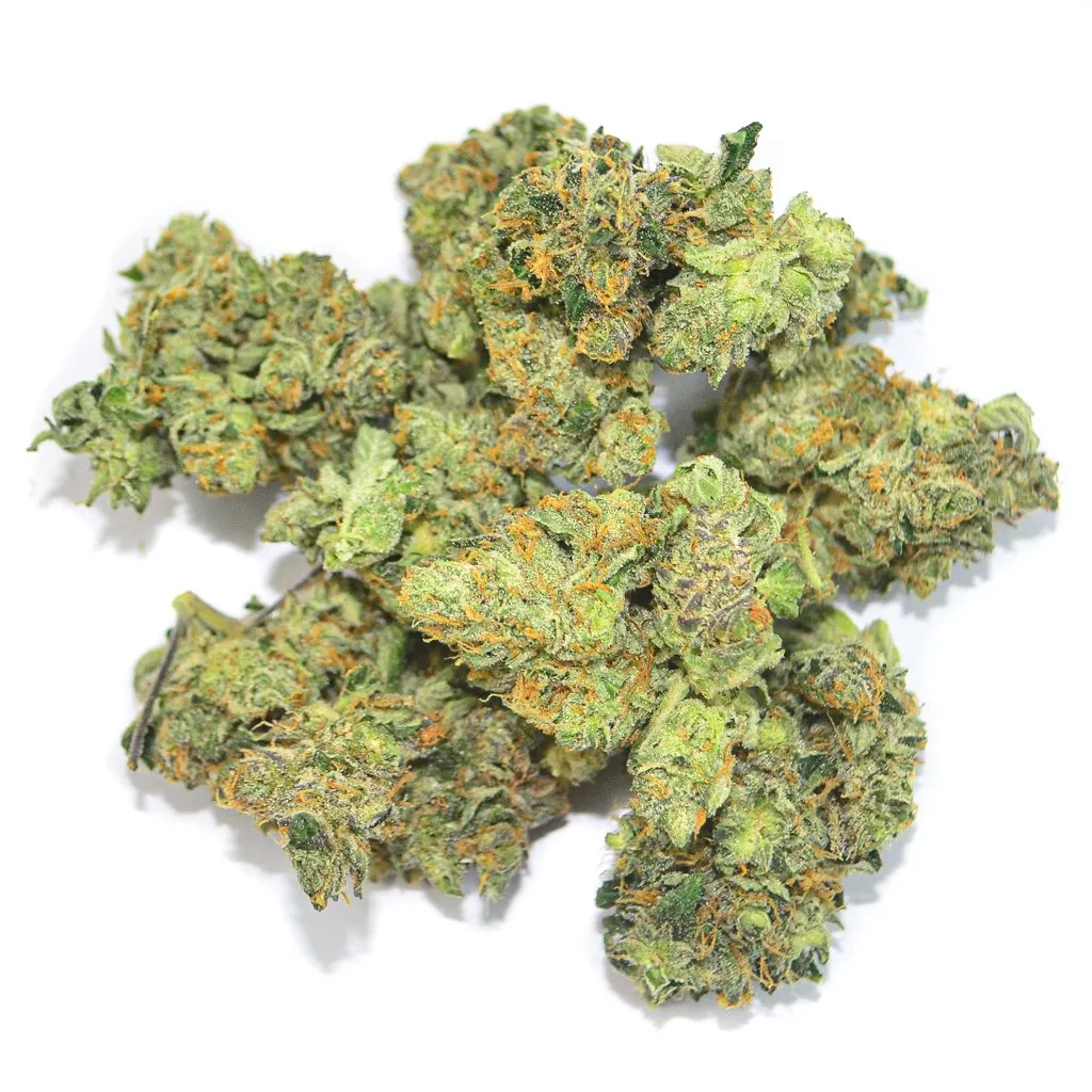 Media Platinum Rockstar - Platinum dan Kush X Rockstar 1