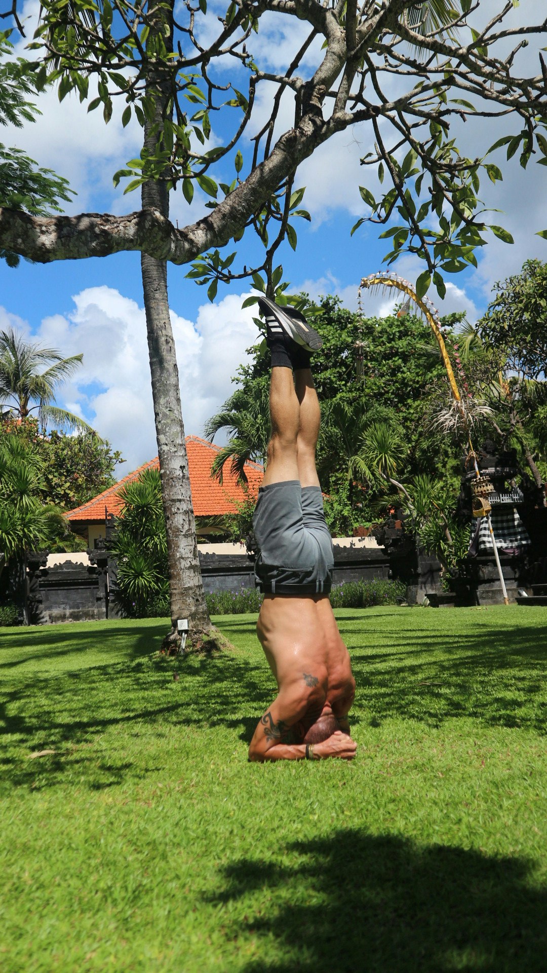 De ultieme lichaamsgewicht Workout Bible - Een complete gids voor de beste bodyweight -routines media 5