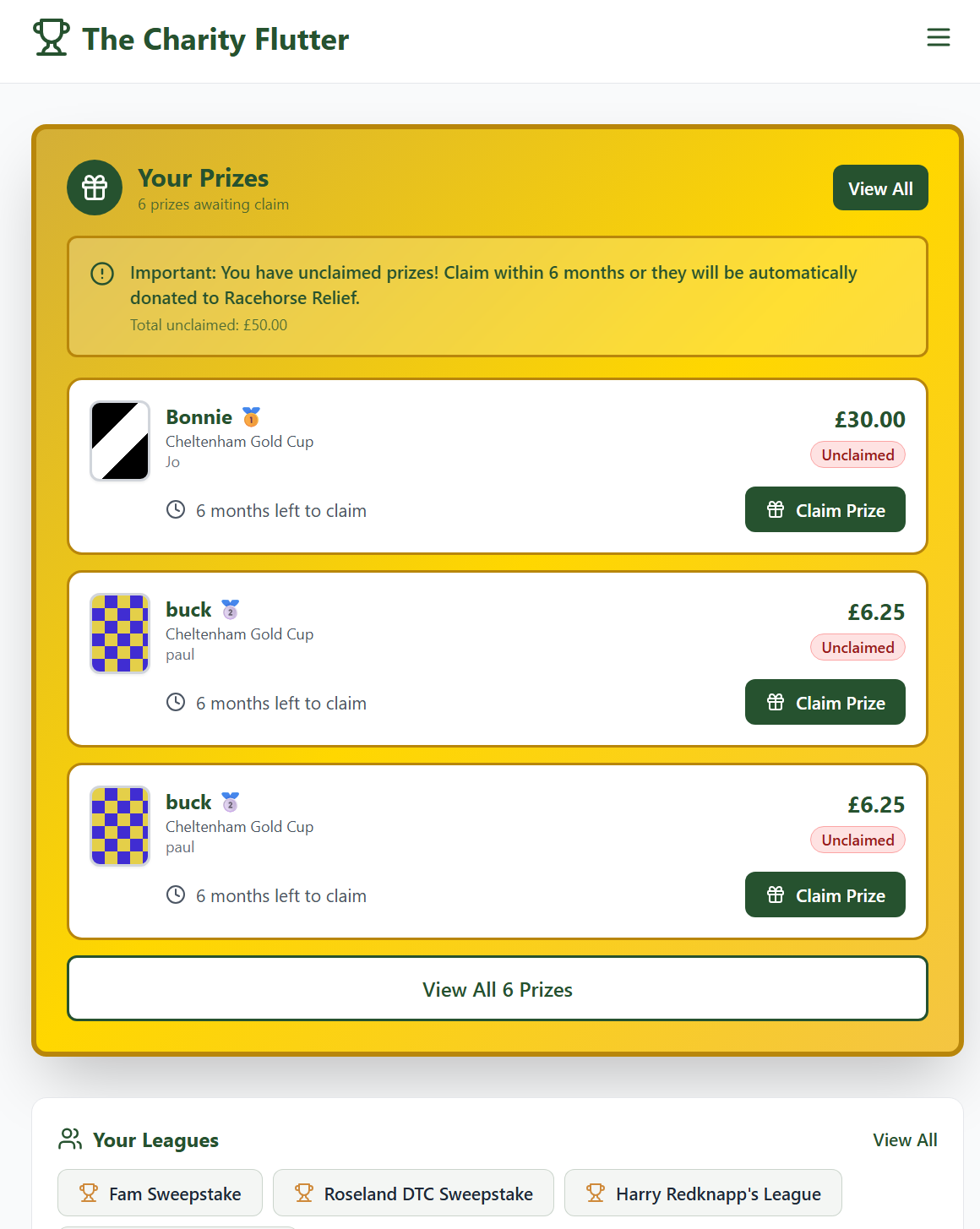 The Charity Flutter - Screenshot 4 showing product features and functionality