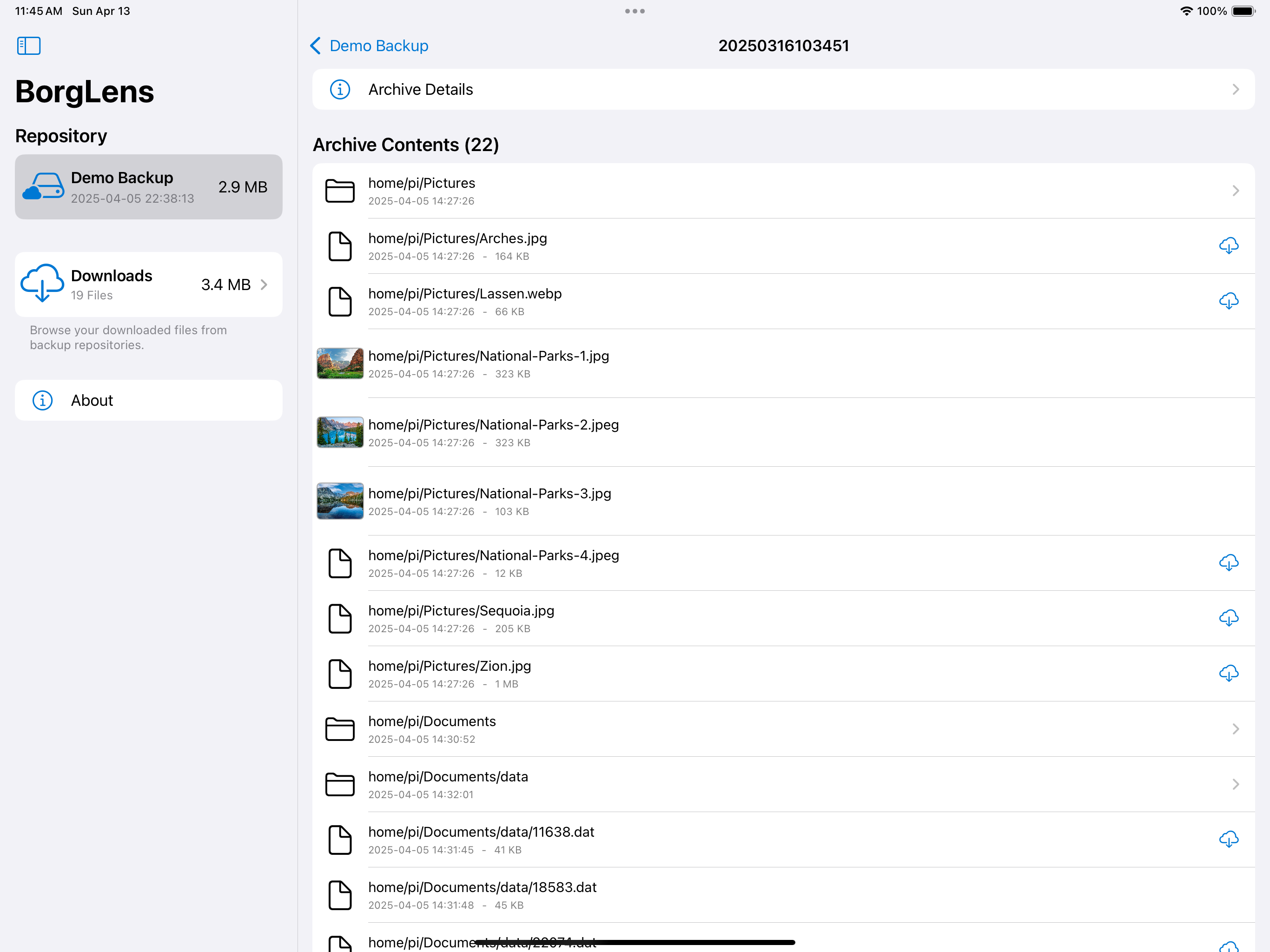 Media Borglens - Truy cập an toàn bản sao lưu Borg của bạn ở bất cứ đâu, mọi lúc trên iOS 2