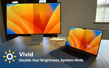 Vivid 2.0 gallery image