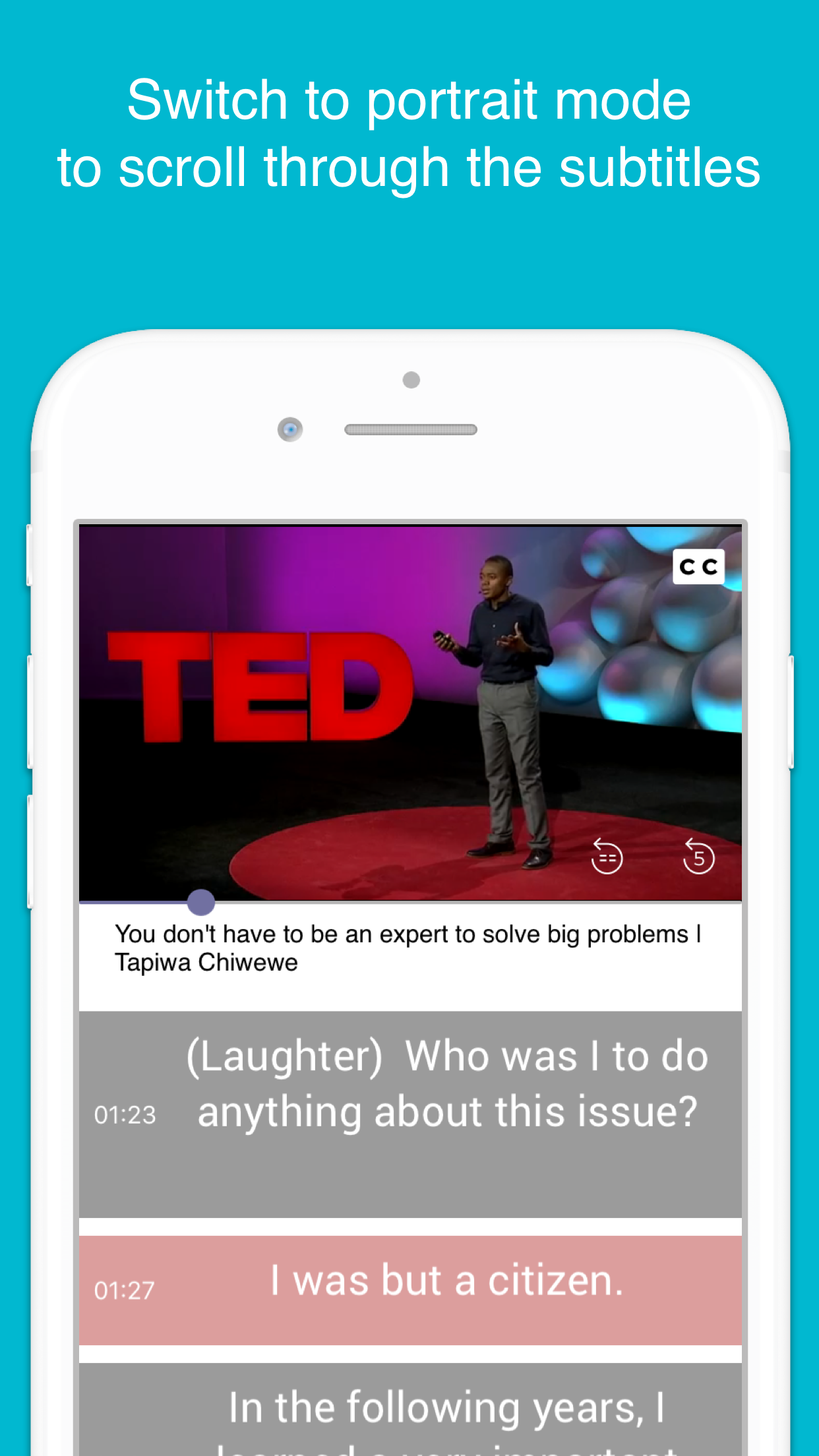 Woodpecker - Language Learning gallery image