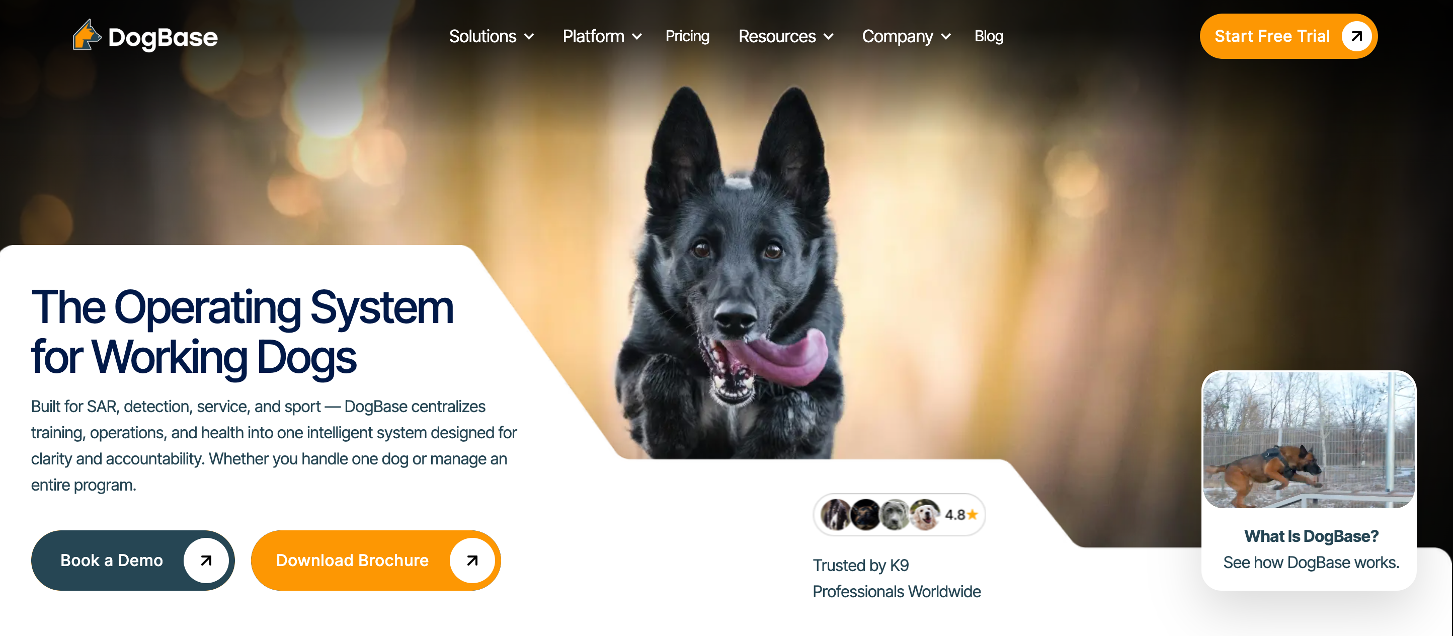 DogBase v2 Official Launch gallery image