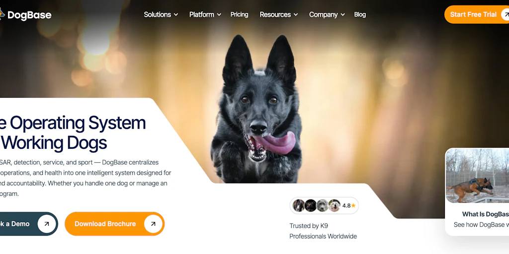 DogBase v2 正式發佈:專業 K9 警犬隊專用的作業系統