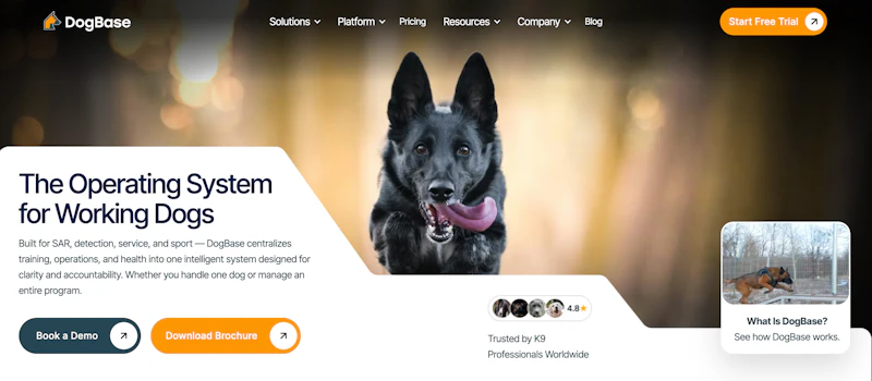 DogBase v2 Official Launch screenshot 1