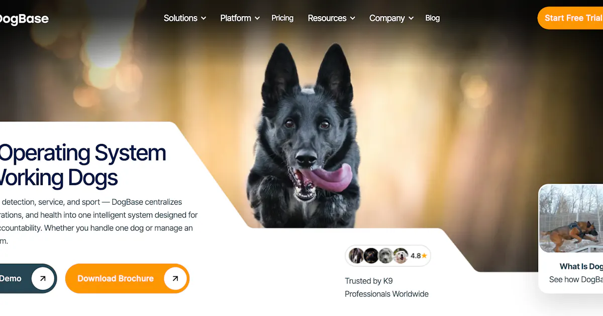DogBase v2 Official Launch