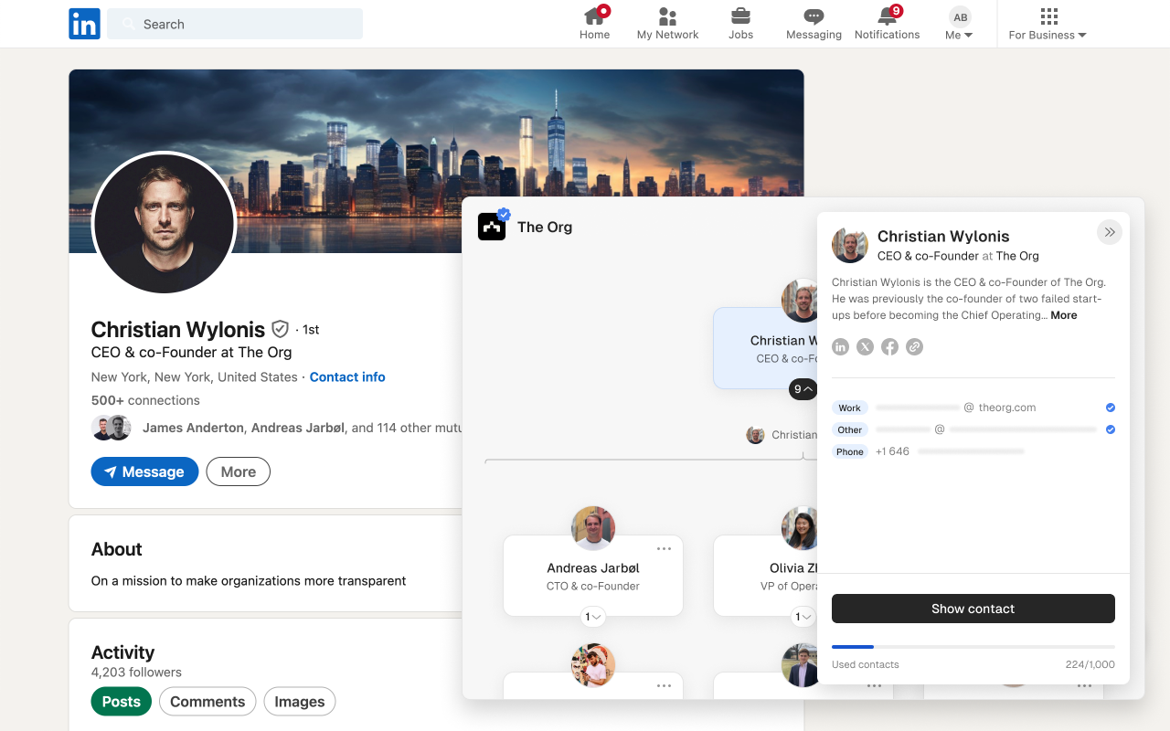 Org untuk LinkedIn media 3