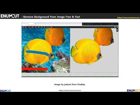 EnumCut gallery image