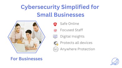 Cybird gallery image