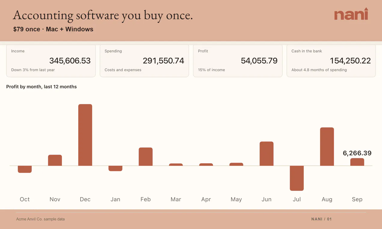 Nani Accounting gallery image