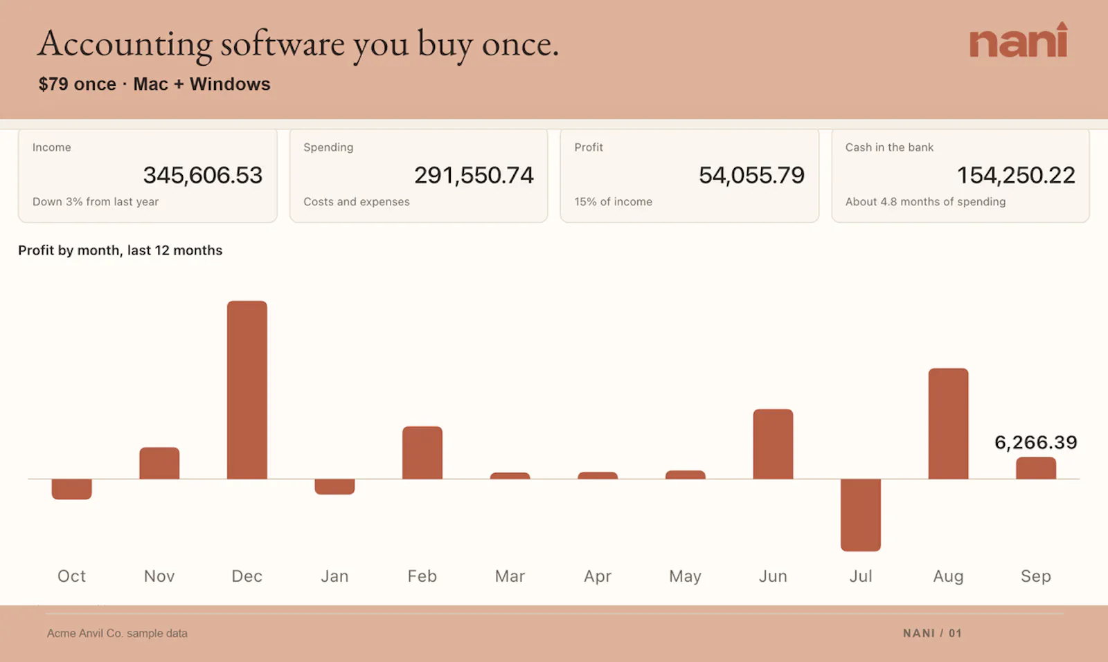 Nani Accounting screenshot 2