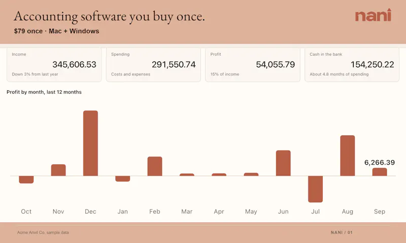 Nani Accounting screenshot 2