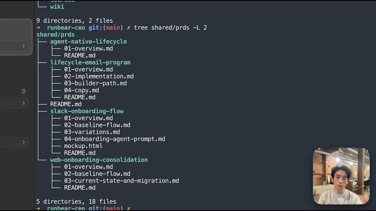 BearDrive screenshot 1 (video preview)