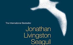Jonathan Livingston Seagull media 1