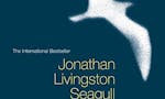 Jonathan Livingston Seagull image