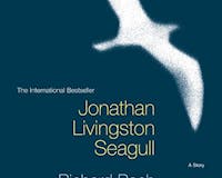 Jonathan Livingston Seagull media 1