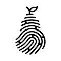 Looma