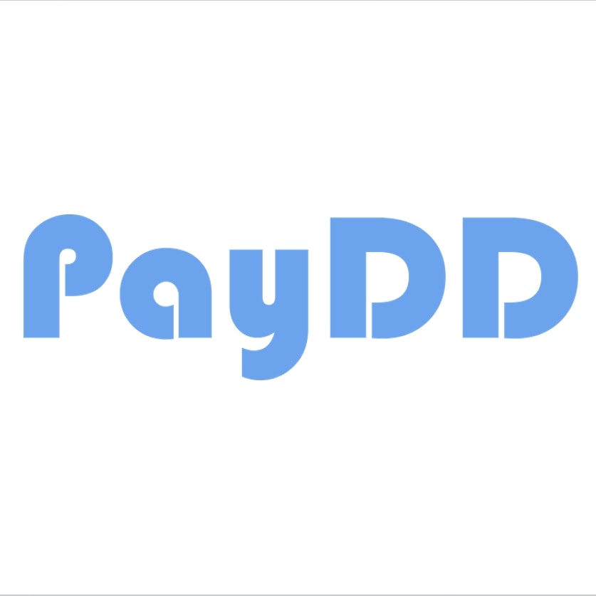 PayDD - Global Payroll for Remote Teams - Product Hunt launch logo and brand identity