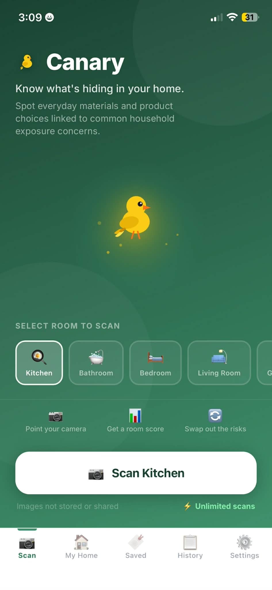 Canary gallery image