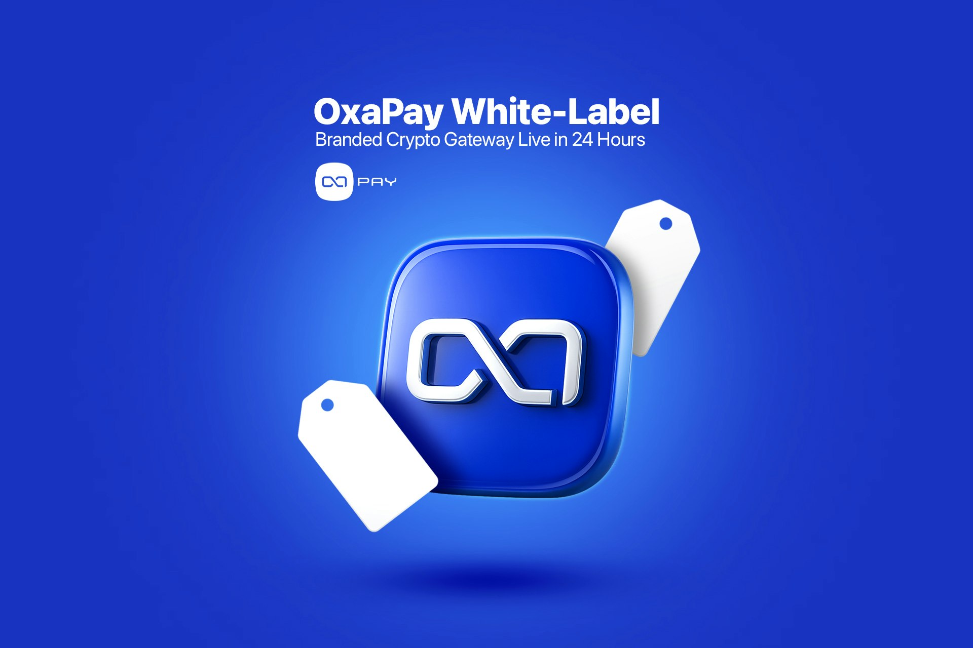 OxaPay White-Label - Screenshot 3 showing product features and functionality