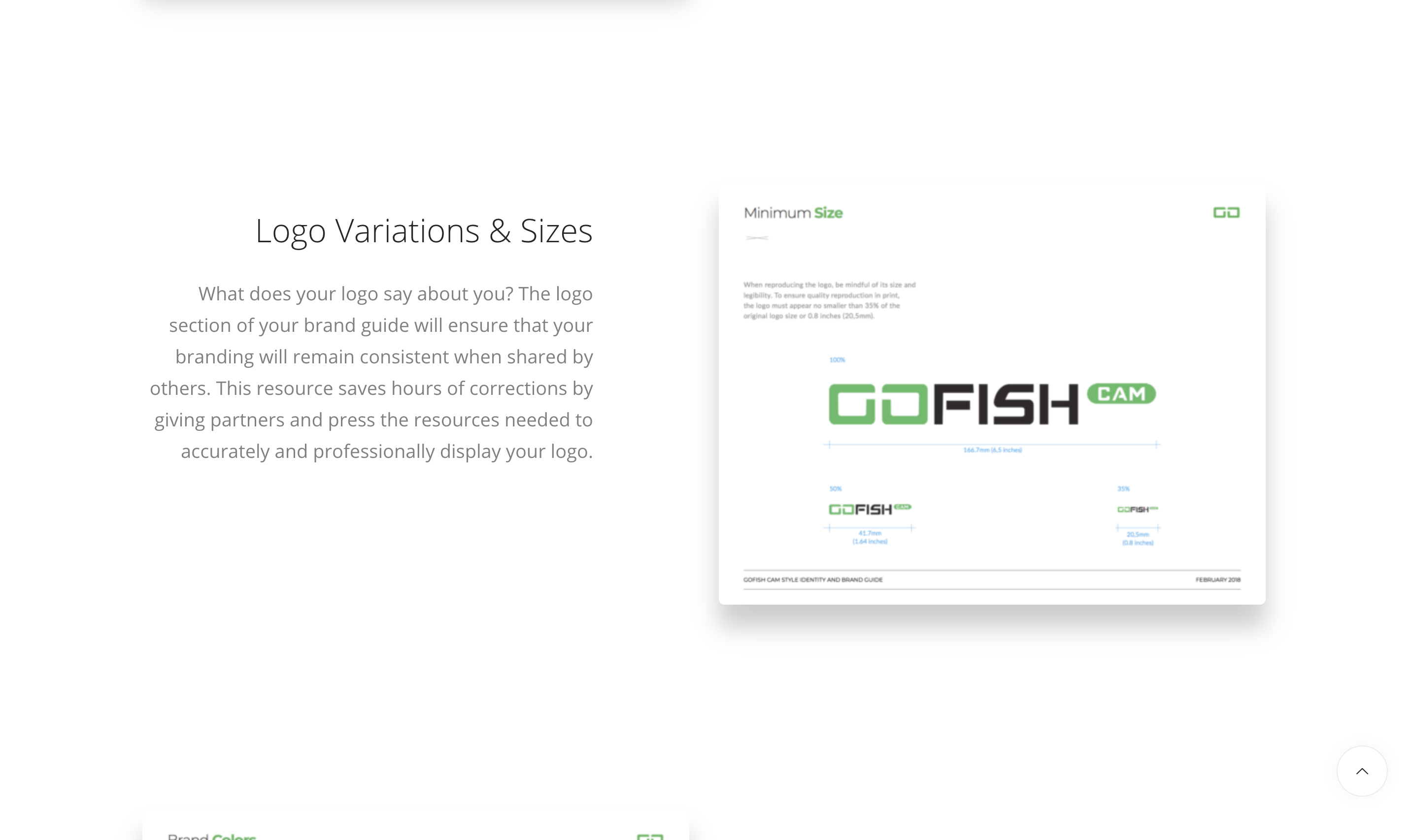 Brand Guide design gallery image