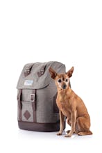 Kurgo K9 Rucksack gallery image
