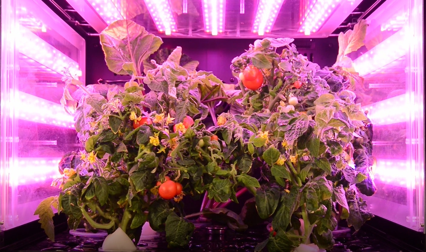 Smart Household Vertical Farm gallery image