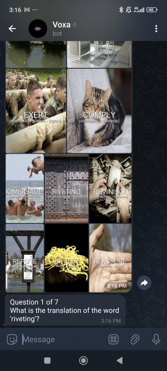 Telegram gallery image