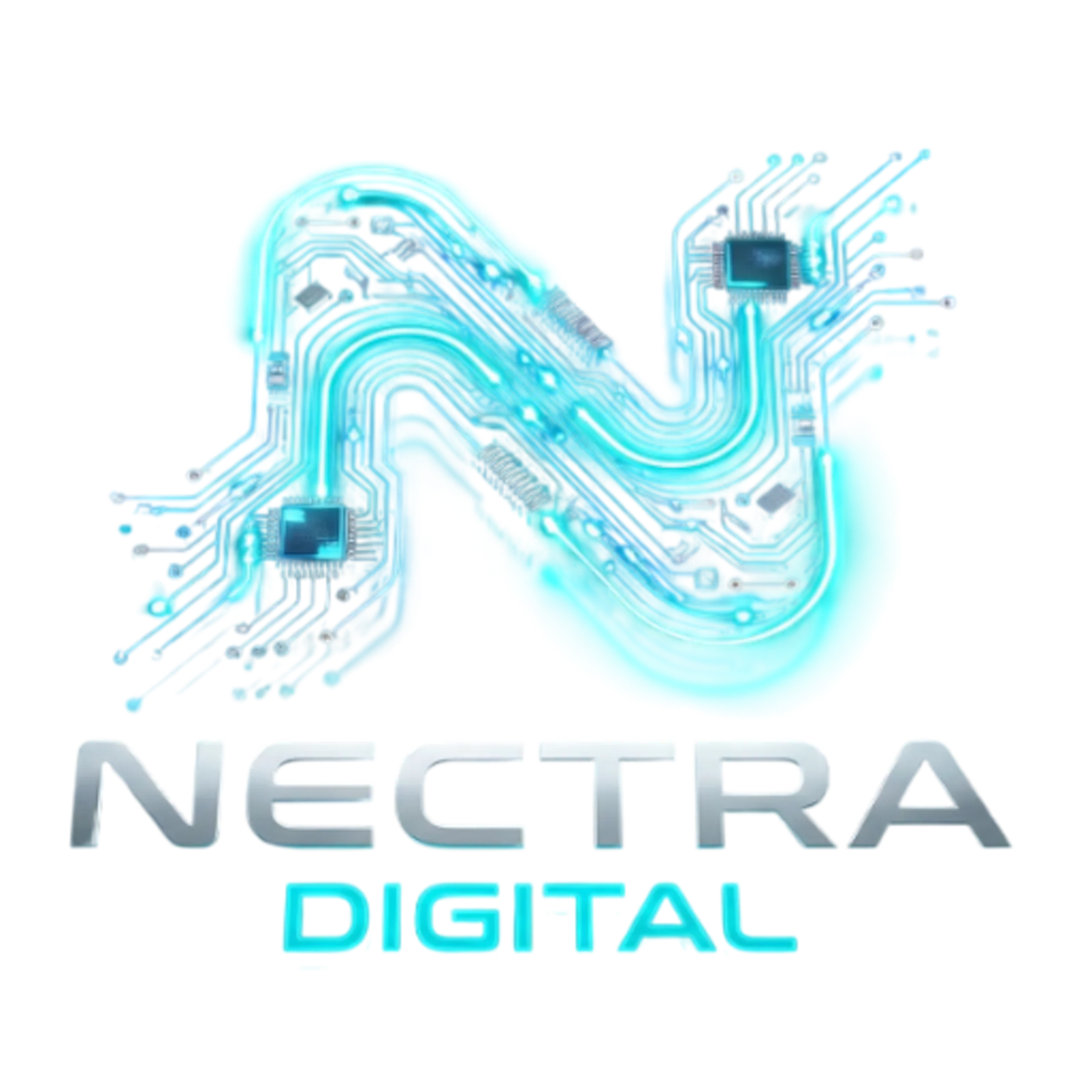 Nectra Digital screenshot 1