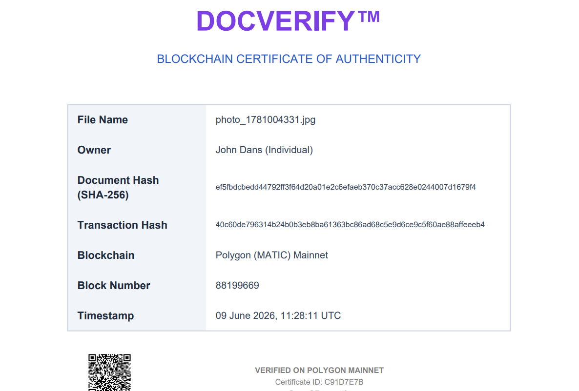 DocVerify — CYBERPUNK NOTARY gallery image