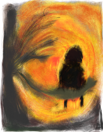 sktcho gallery image