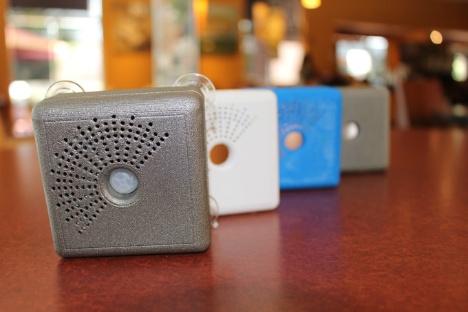 CarEye gallery image