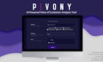 Voice of the Customer by Pivony image
