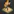 Stop DoomScrolling