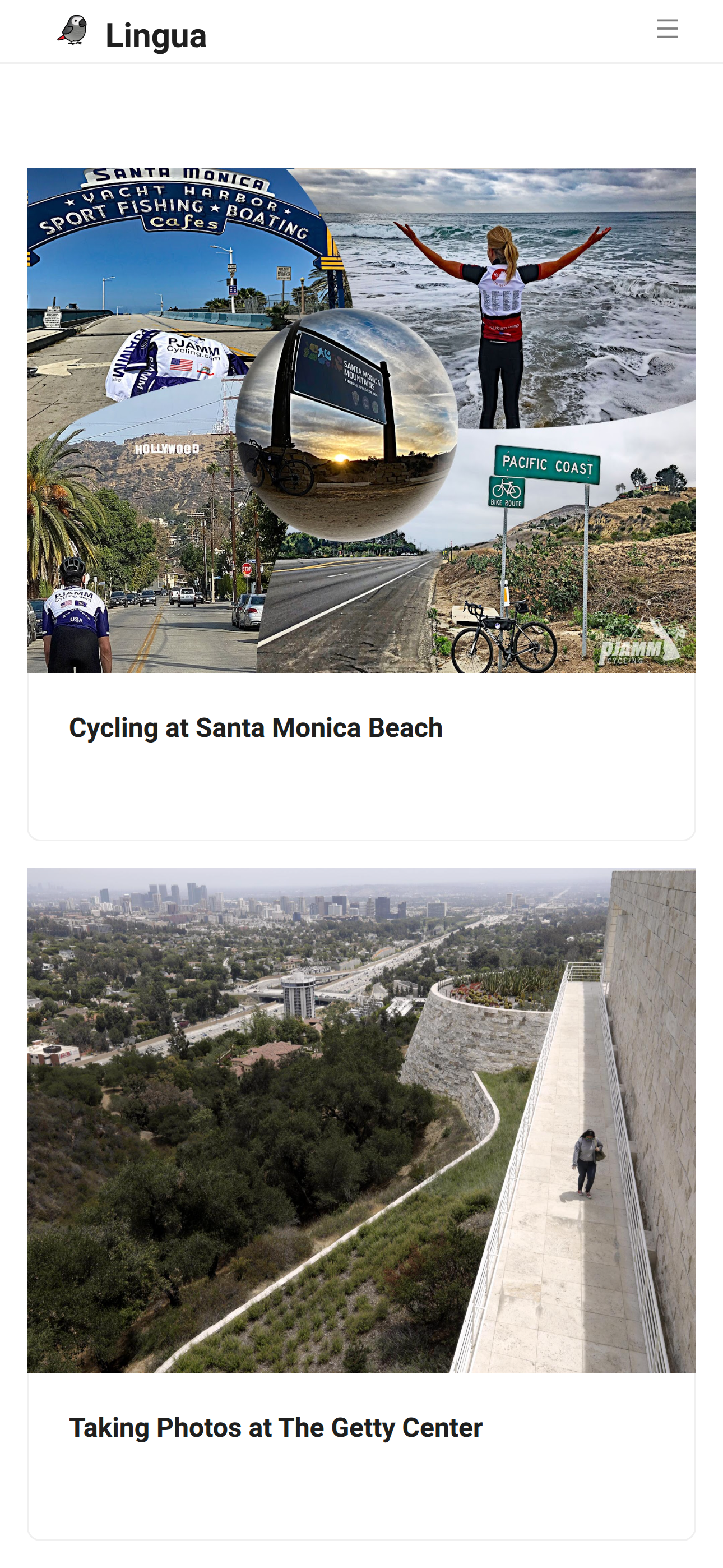 Lingua gallery image