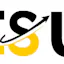 ESSAY SERVICE USA