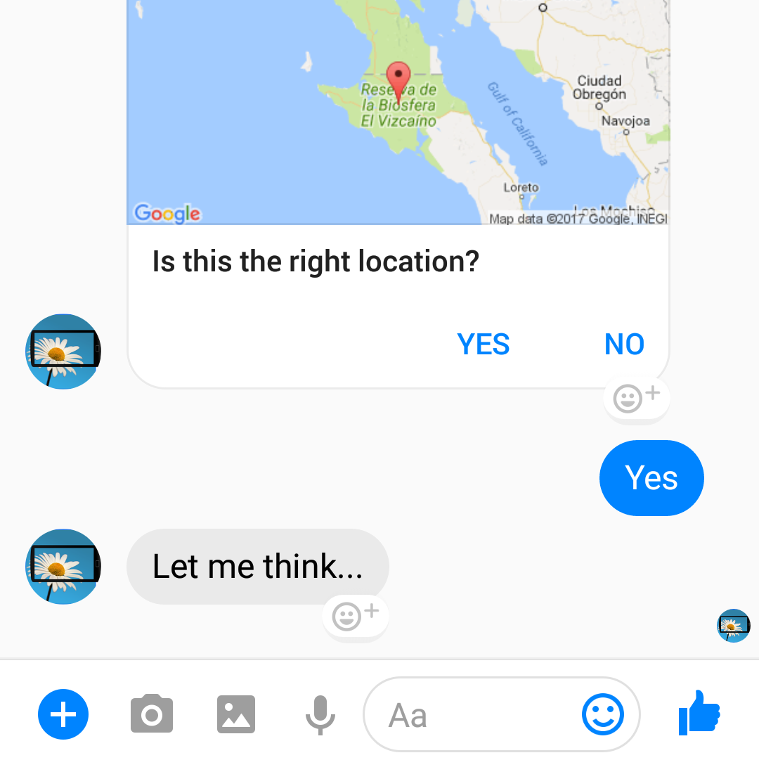 FlowerChecker chatbot gallery image