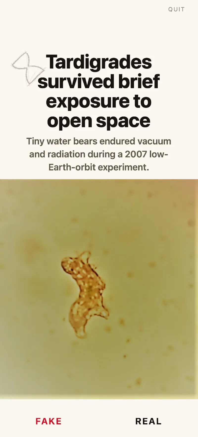 Unspin — spot the fake news screenshot 4