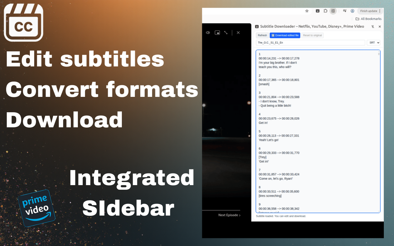 Subtitle Downloader for Netflix, YouTube gallery image