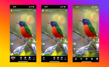 Instagram - UI Kit 1.0 gallery image