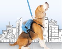 Mybonebag® - Dog Harness media 2