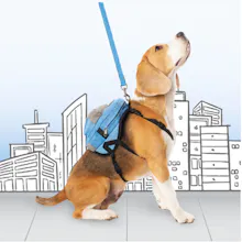 Mybonebag® - Dog Harness gallery image