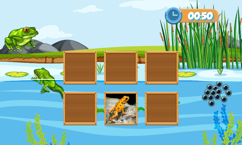 Montessori Zoology Memory gallery image