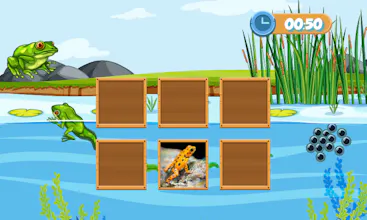 Montessori Zoology Memory gallery image
